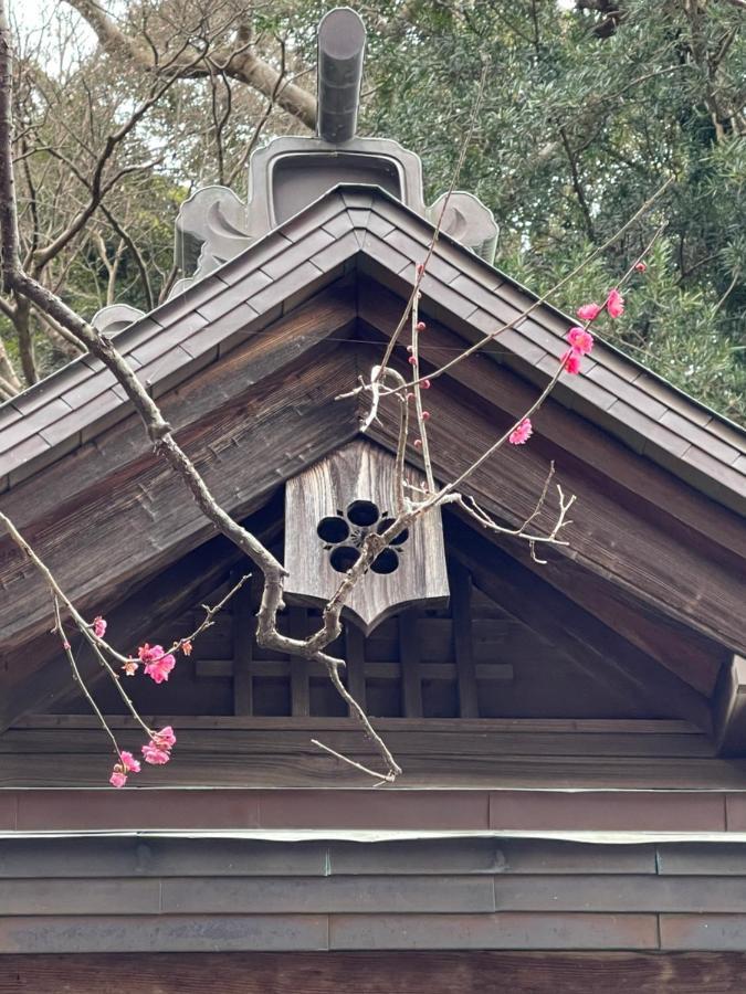 Children'S Cafe B&B Kimie Kamakura Exterior photo